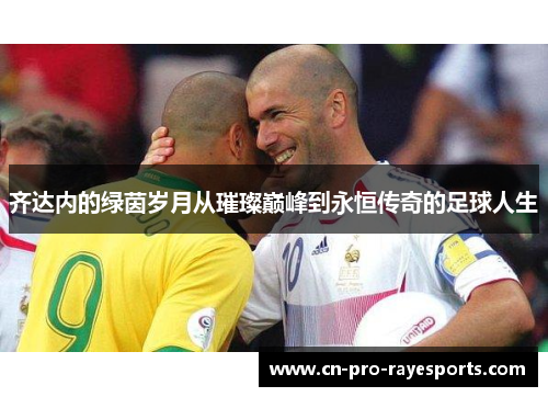 齐达内的绿茵岁月从璀璨巅峰到永恒传奇的足球人生