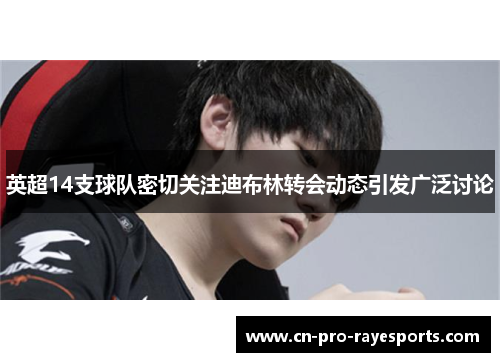 英超14支球队密切关注迪布林转会动态引发广泛讨论