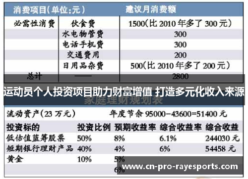 运动员个人投资项目助力财富增值 打造多元化收入来源