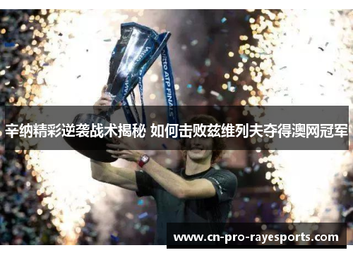 辛纳精彩逆袭战术揭秘 如何击败兹维列夫夺得澳网冠军