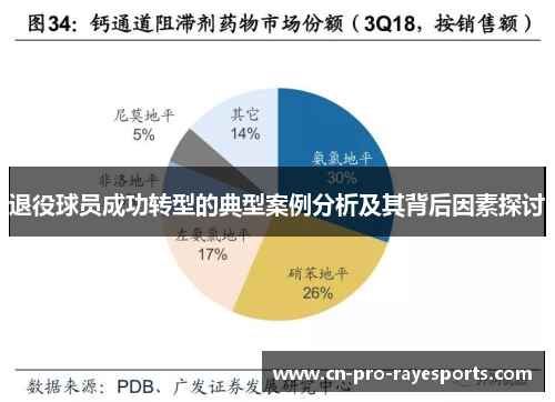 退役球员成功转型的典型案例分析及其背后因素探讨