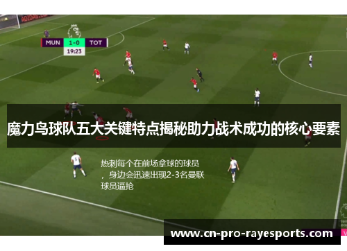 魔力鸟球队五大关键特点揭秘助力战术成功的核心要素
