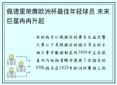 佩德里荣膺欧洲杯最佳年轻球员 未来巨星冉冉升起
